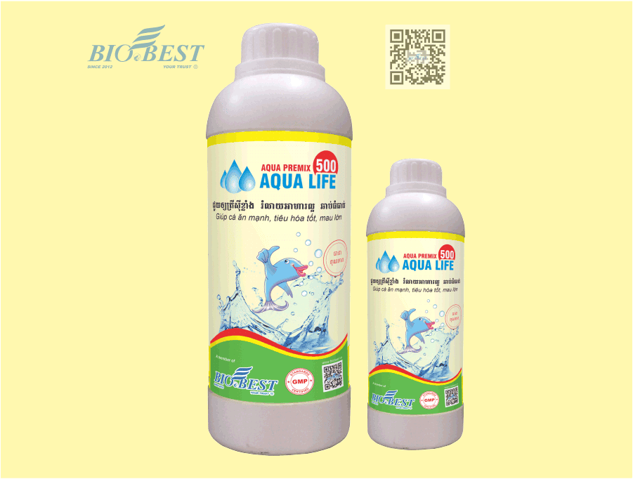 BIOBEST Co., Ltd.