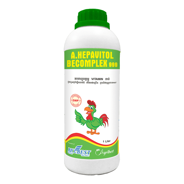 BIOBEST Co., Ltd.