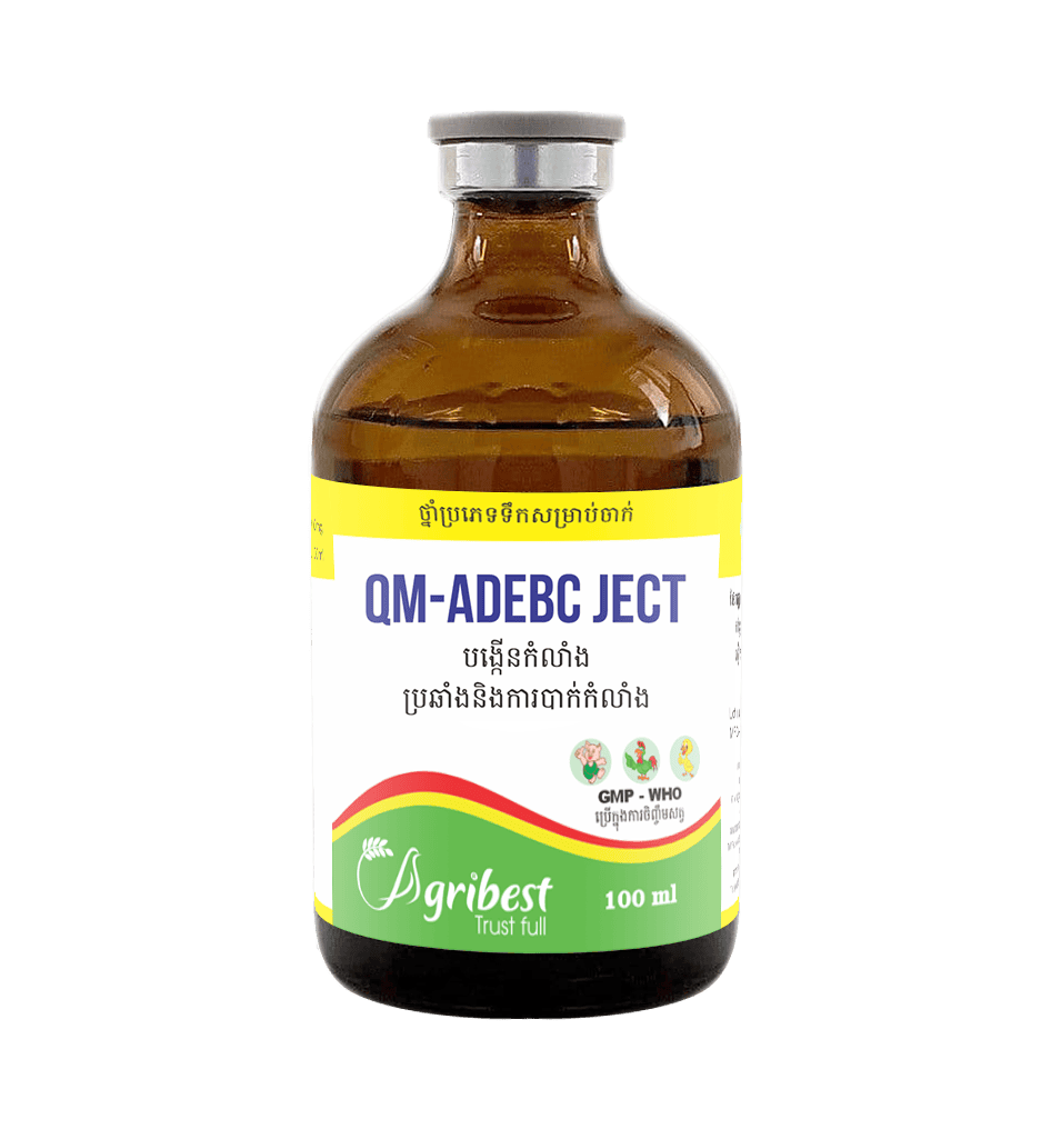 BIOBEST Co., Ltd.