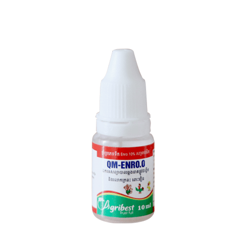 BIOBEST Co., Ltd.