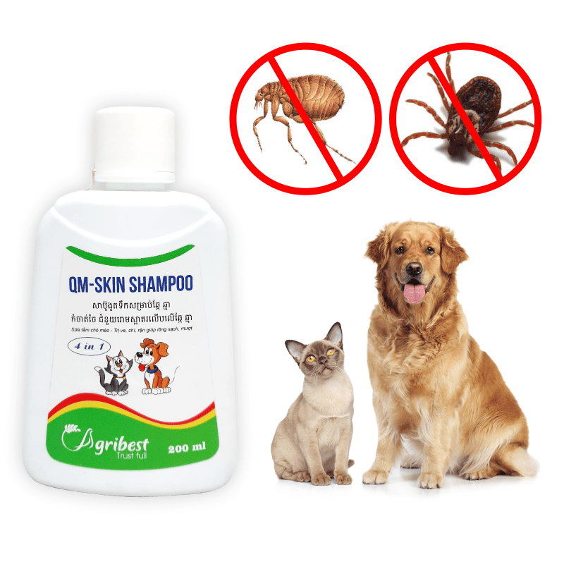 BIOBEST Co., Ltd.