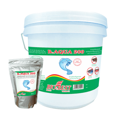B.AQUA 200