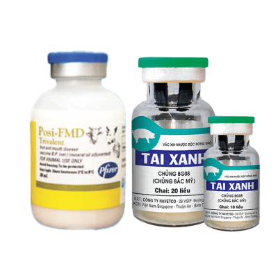 វ៉ាក់សាំងសម្រាប់សត្វពាហនៈ