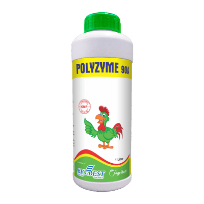 POLYZYME 90A